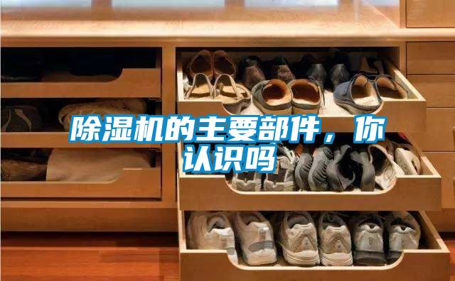 除濕機的主要部件，你認(rèn)識嗎
