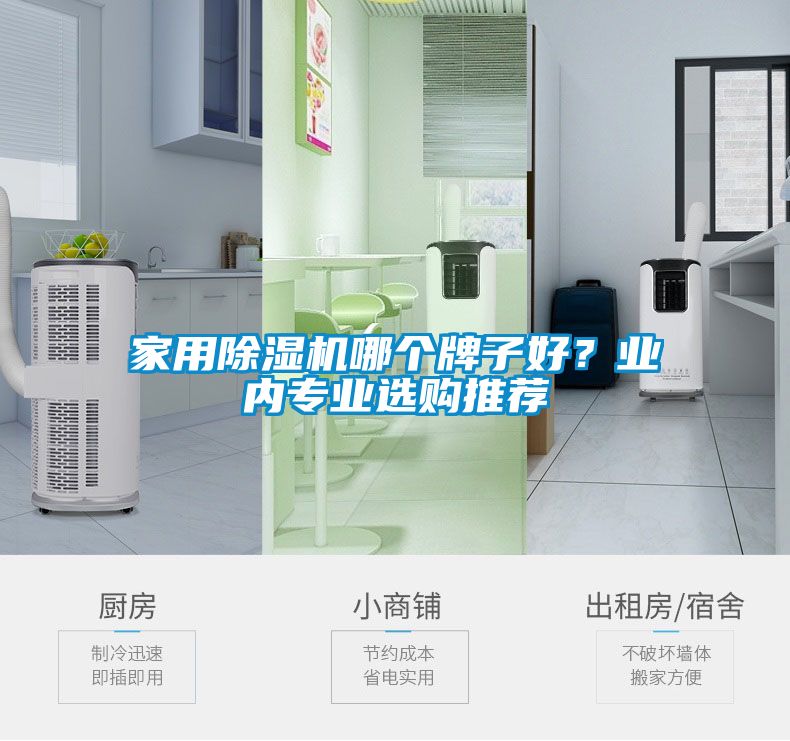 家用除濕機(jī)哪個牌子好？業(yè)內(nèi)專業(yè)選購?fù)扑]
