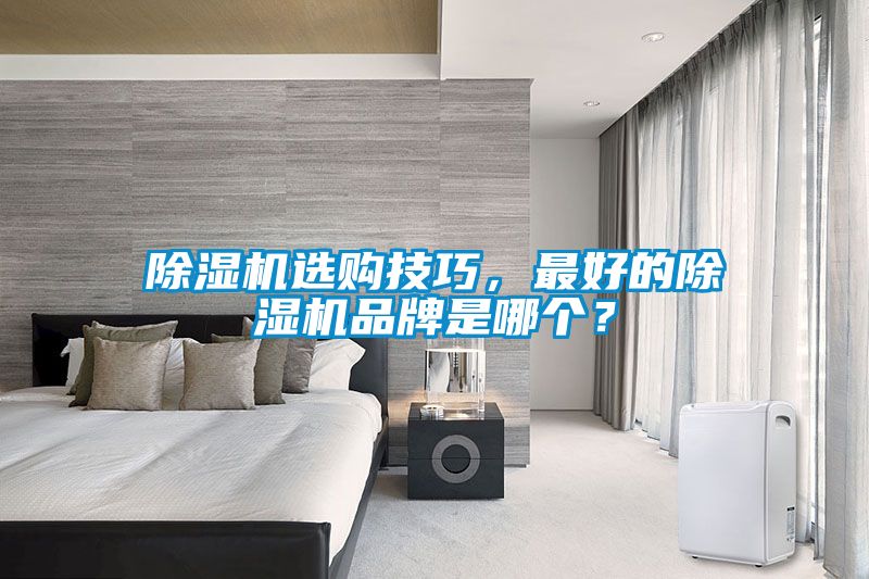 除濕機選購技巧，最好的除濕機品牌是哪個？