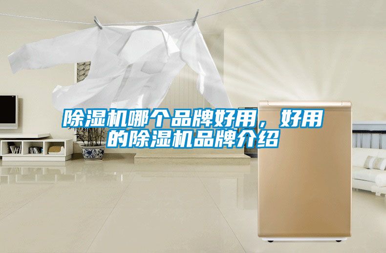 除濕機(jī)哪個品牌好用，好用的除濕機(jī)品牌介紹