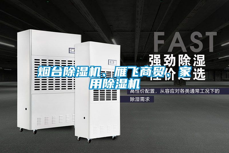 煙臺除濕機、雁飛商貿(mào)、家用除濕機