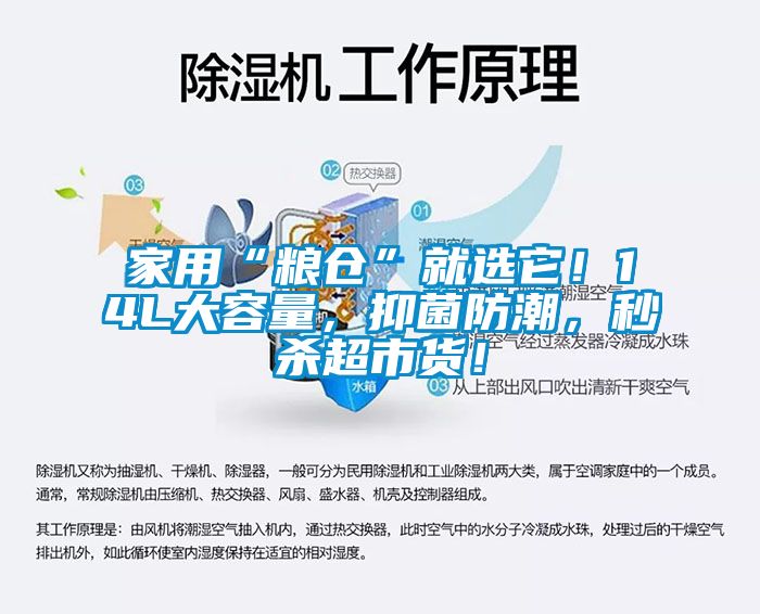 家用“糧倉”就選它！14L大容量，抑菌防潮，秒殺超市貨！