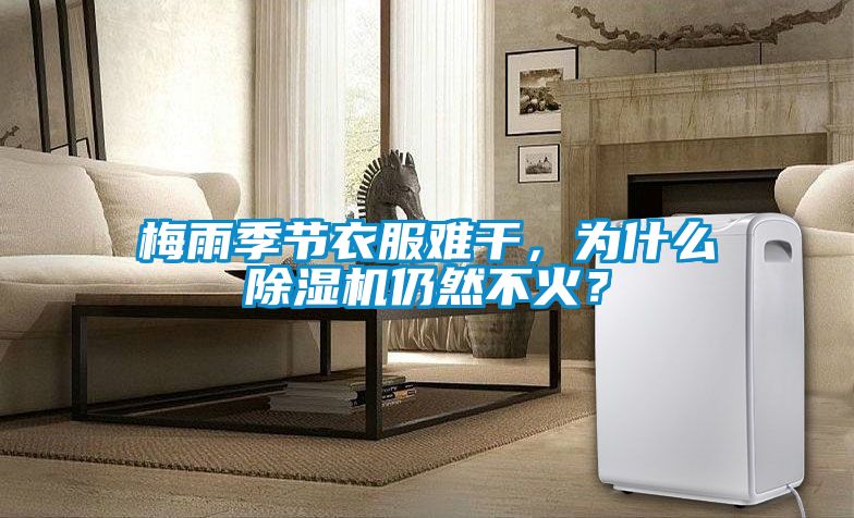 梅雨季節(jié)衣服難干，為什么除濕機(jī)仍然不火？