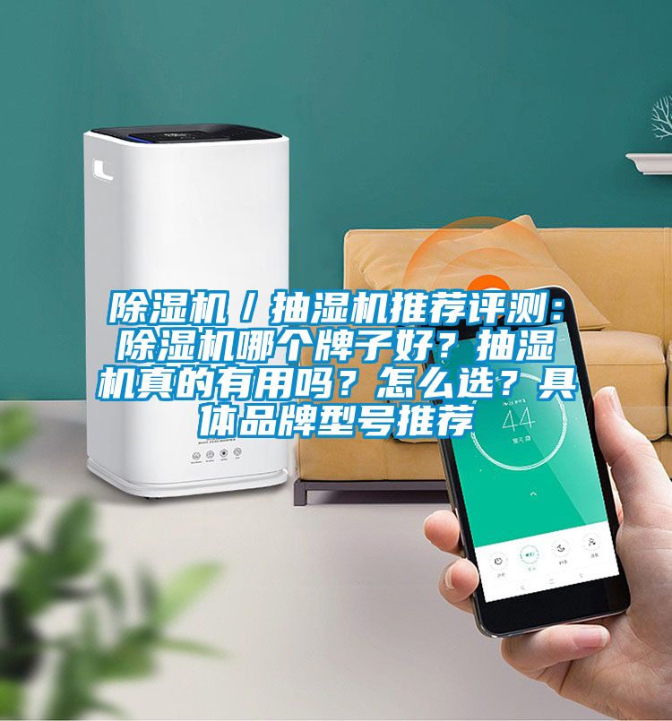 除濕機／抽濕機推薦評測：除濕機哪個牌子好？抽濕機真的有用嗎？怎么選？具體品牌型號推薦