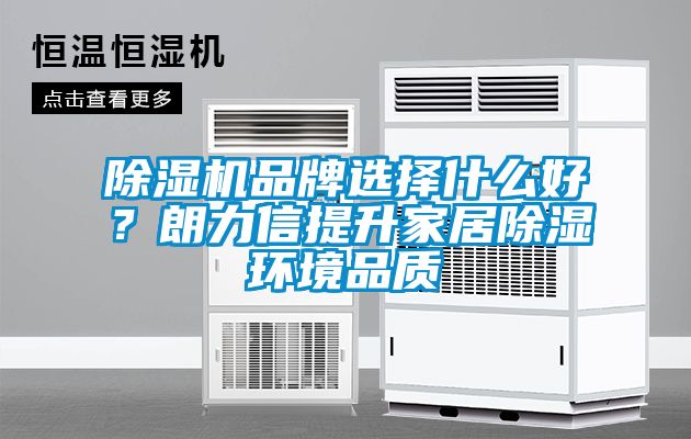 除濕機品牌選擇什么好？朗力信提升家居除濕環(huán)境品質