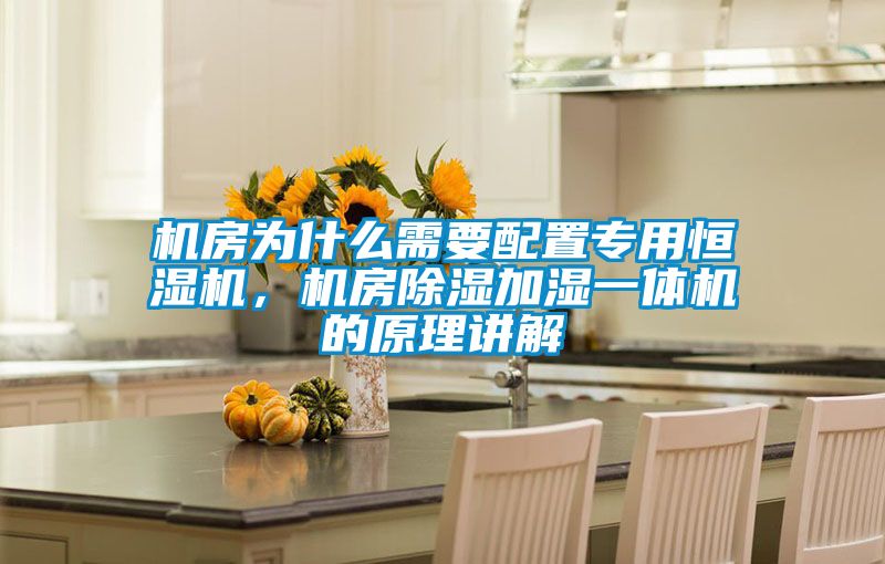 機(jī)房為什么需要配置專(zhuān)用恒濕機(jī)，機(jī)房除濕加濕一體機(jī)的原理講解