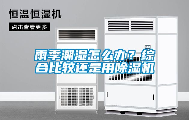 雨季潮濕怎么辦？綜合比較還是用除濕機(jī)