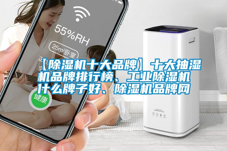 【除濕機十大品牌】十大抽濕機品牌排行榜、工業(yè)除濕機什么牌子好、除濕機品牌網(wǎng)