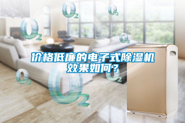 價(jià)格低廉的電子式除濕機(jī)效果如何？
