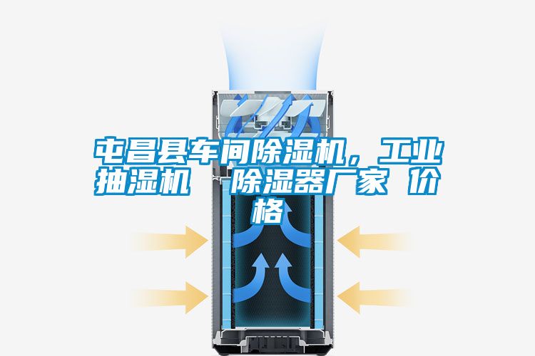 屯昌縣車間除濕機(jī)，工業(yè)抽濕機(jī)  除濕器廠家 價(jià)格