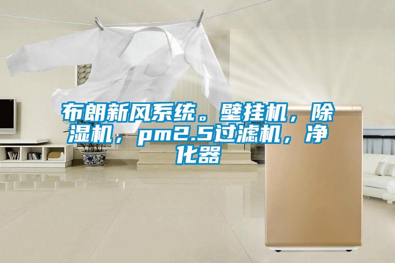 布朗新風(fēng)系統(tǒng)。壁掛機(jī)，除濕機(jī)，pm2.5過濾機(jī)，凈化器