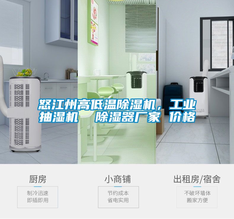 怒江州高低溫除濕機(jī)，工業(yè)抽濕機(jī)  除濕器廠家 價(jià)格