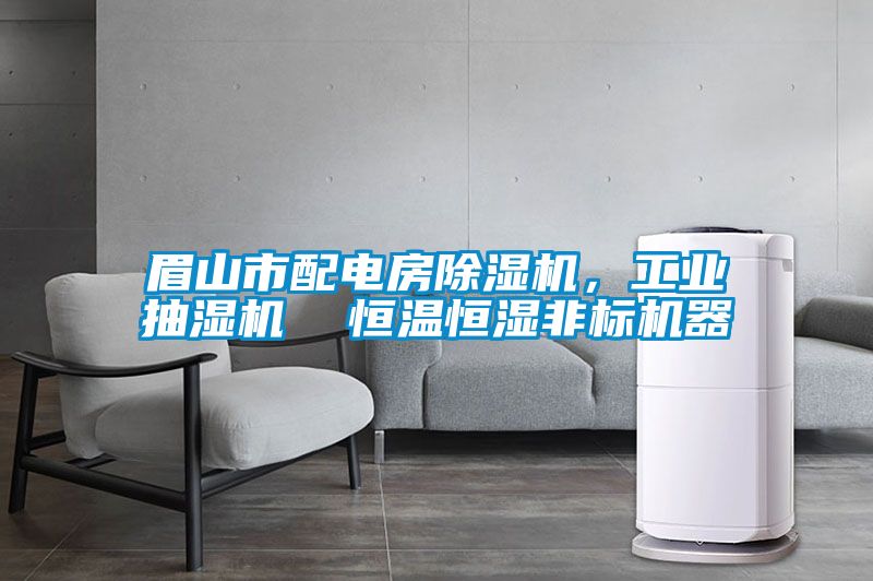 眉山市配電房除濕機，工業(yè)抽濕機  恒溫恒濕非標機器