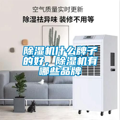 除濕機(jī)什么牌子的好，除濕機(jī)有哪些品牌