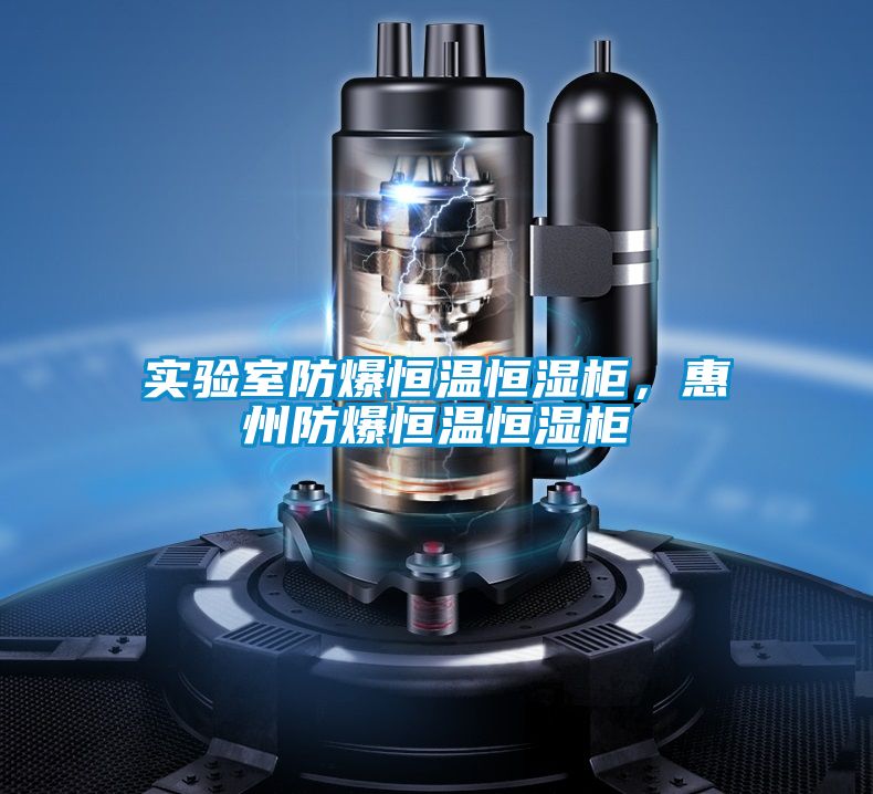 實驗室防爆恒溫恒濕柜，惠州防爆恒溫恒濕柜