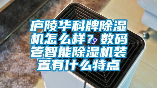 廬陵華科牌除濕機怎么樣？數(shù)碼管智能除濕機裝置有什么特點