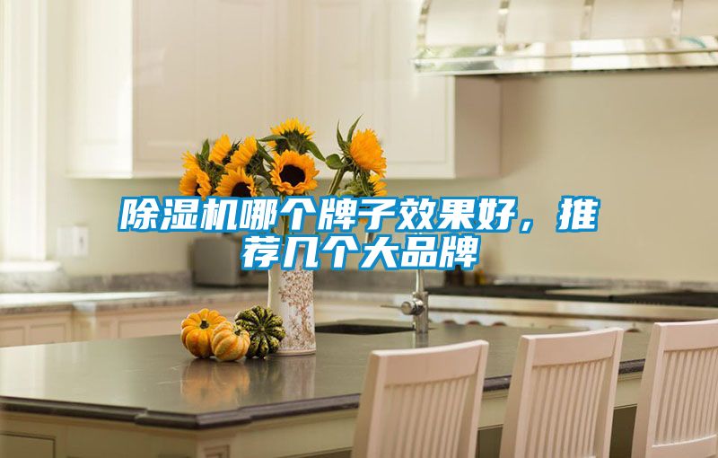 除濕機哪個牌子效果好，推薦幾個大品牌