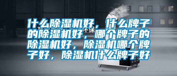 什么除濕機(jī)好，什么牌子的除濕機(jī)好，哪個牌子的除濕機(jī)好，除濕機(jī)哪個牌子好，除濕機(jī)什么牌子好