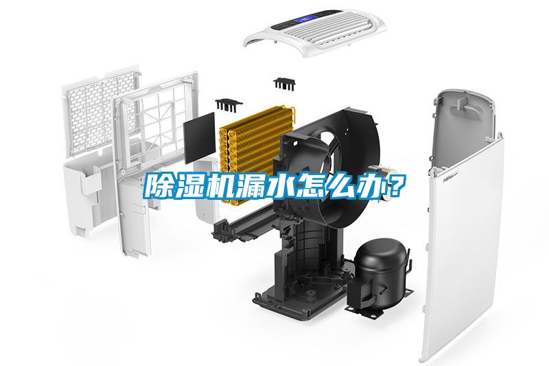 除濕機(jī)漏水怎么辦？