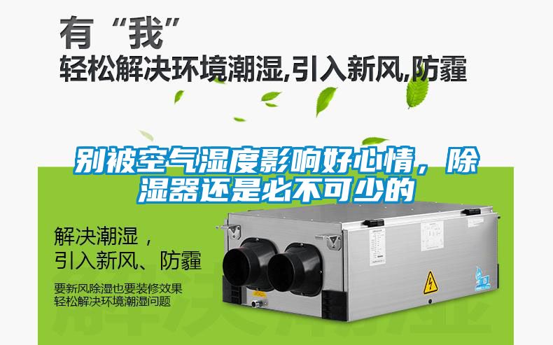 別被空氣濕度影響好心情，除濕器還是必不可少的