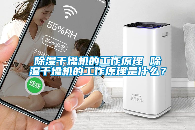 除濕干燥機(jī)的工作原理 除濕干燥機(jī)的工作原理是什么？
