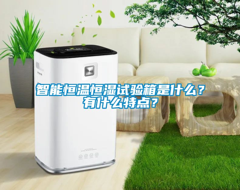 智能恒溫恒濕試驗(yàn)箱是什么？有什么特點(diǎn)？