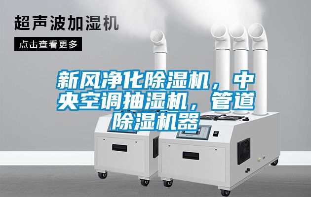 新風(fēng)凈化除濕機(jī)，中央空調(diào)抽濕機(jī)，管道除濕機(jī)器