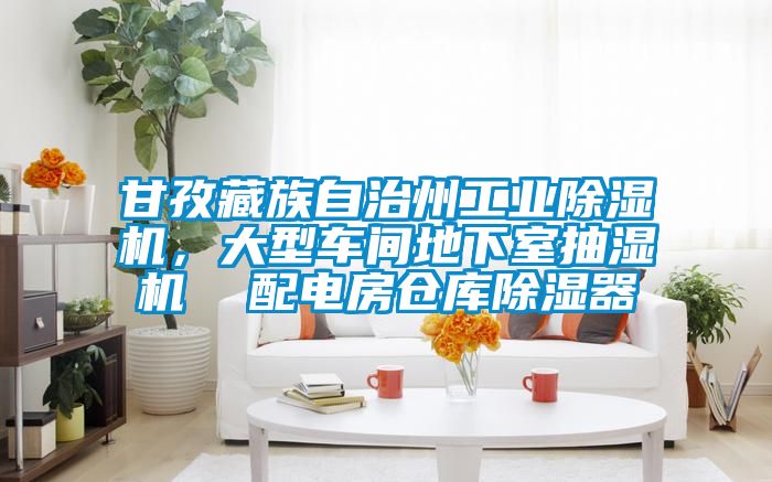 甘孜藏族自治州工業(yè)除濕機(jī)，大型車間地下室抽濕機(jī)  配電房倉(cāng)庫(kù)除濕器