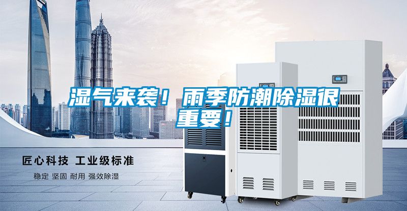 濕氣來襲！雨季防潮除濕很重要！