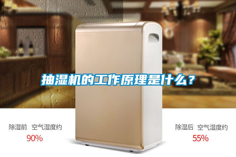 抽濕機的工作原理是什么？