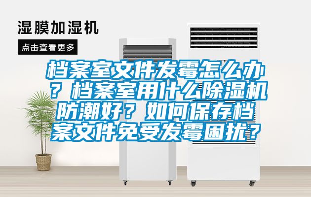 檔案室文件發(fā)霉怎么辦？檔案室用什么除濕機防潮好？如何保存檔案文件免受發(fā)霉困擾？