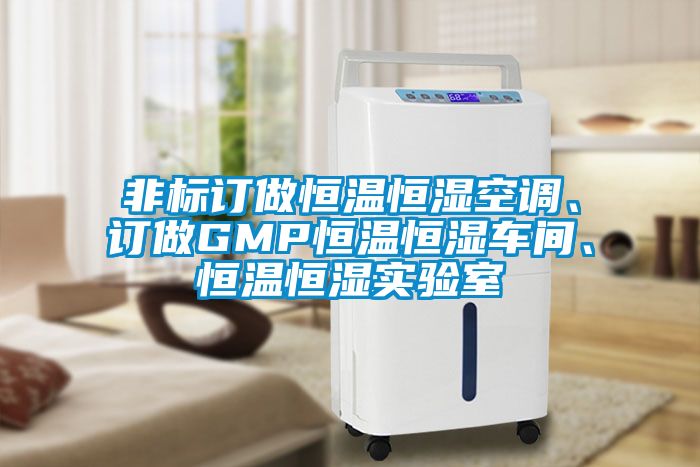 非標訂做恒溫恒濕空調(diào)、訂做GMP恒溫恒濕車間、恒溫恒濕實驗室