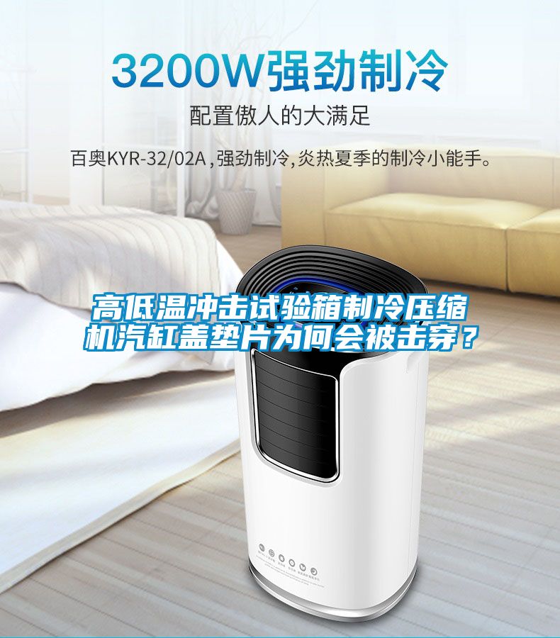 高低溫沖擊試驗箱制冷壓縮機(jī)汽缸蓋墊片為何會被擊穿？