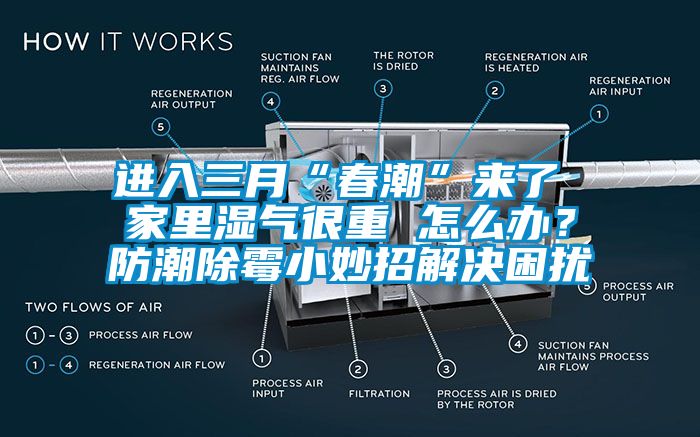進入三月“春潮”來了 家里濕氣很重 怎么辦？防潮除霉小妙招解決困擾