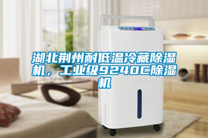 湖北荊州耐低溫冷藏除濕機，工業(yè)級9240C除濕機