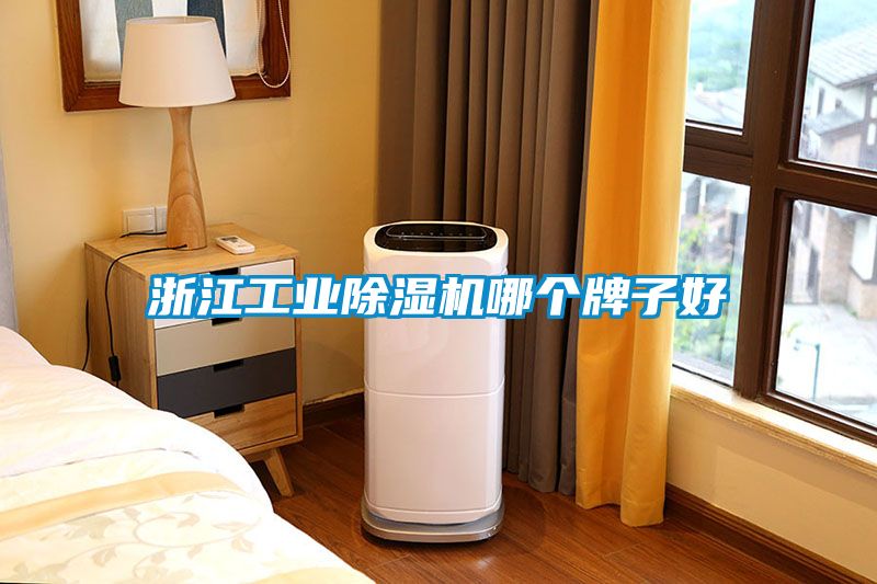 浙江工業(yè)除濕機(jī)哪個牌子好