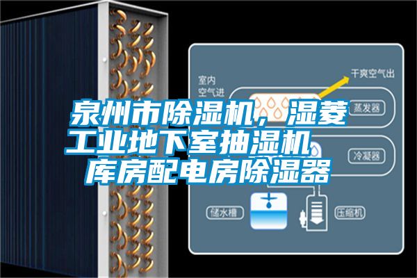 泉州市除濕機(jī)，濕菱工業(yè)地下室抽濕機(jī)  庫房配電房除濕器