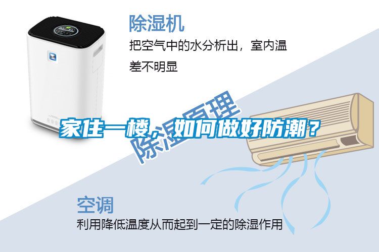家住一樓，如何做好防潮？