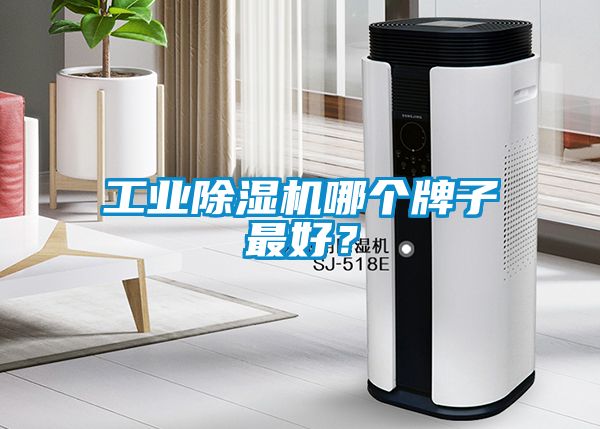 工業(yè)除濕機哪個牌子最好？
