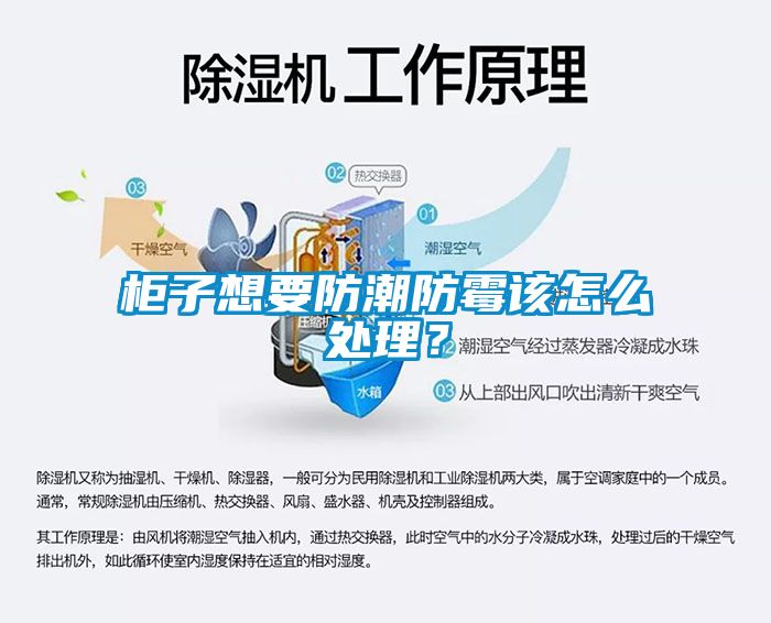 柜子想要防潮防霉該怎么處理？